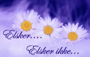 Elsker...elsker ikke