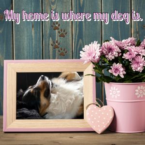My home is where my dog is..