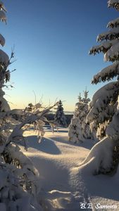 Vinter på Sjusjøen