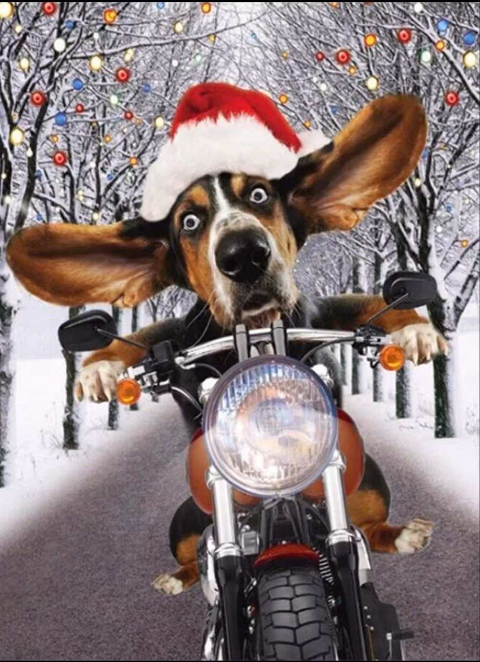 Hjem til jul