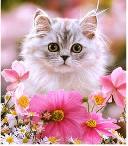 Katt med rosa blomster
