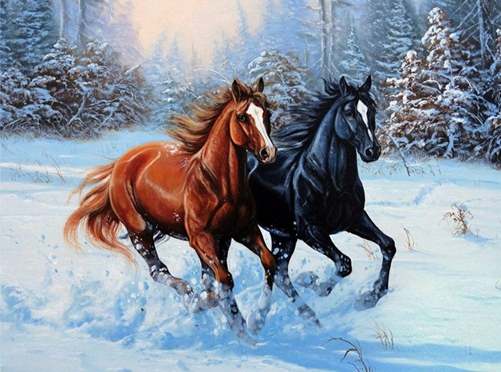 To hester i snø