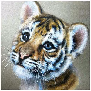 Søt tiger