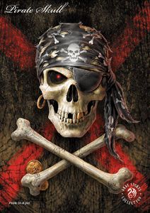 Lisensiert bilde Anne Stokes Pirate Skull