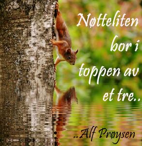 Nøtteliten