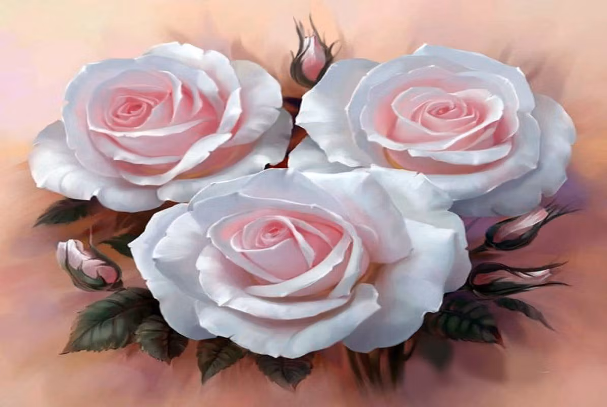 Tre rosa roser