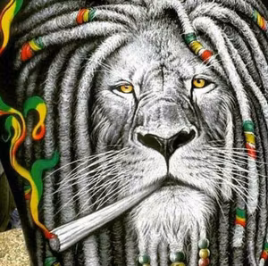 Rasta løve