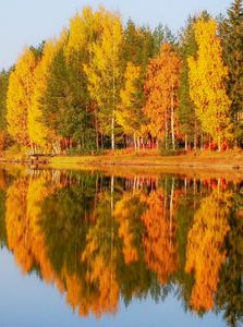 Natur høst The colours of autumn ©Sari Heikkinen
