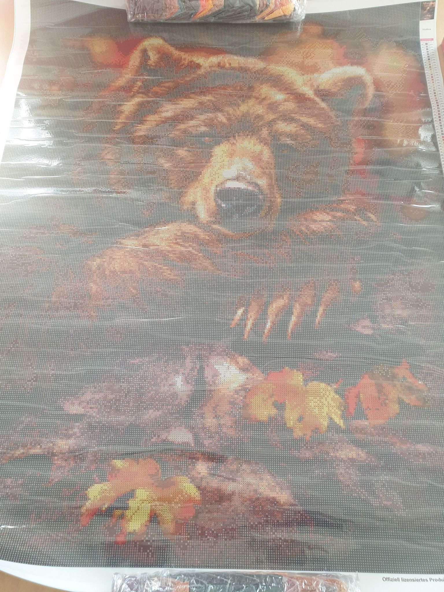 Tami Alba Grizzly Autumn Lisensiert bilde