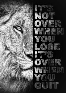 Løve its not over when you lose.. ©MK5 studio
