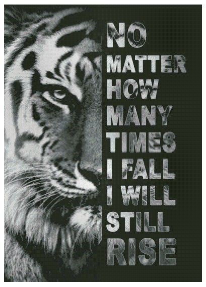 Tiger No matter how many times I fall.. ©MK5 studio