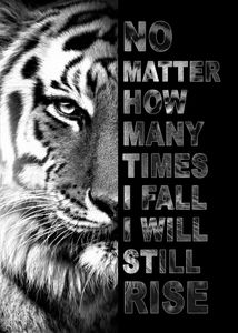 Tiger No matter how many times I fall.. ©MK5 studio