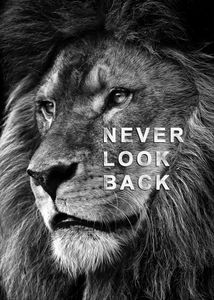 Løve Never look back ©MK5 studio