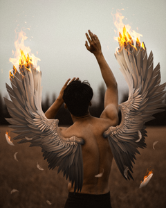 Burning wings ©Global.annihilation