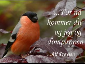 Du og jeg og dompappen ©Perlebilder