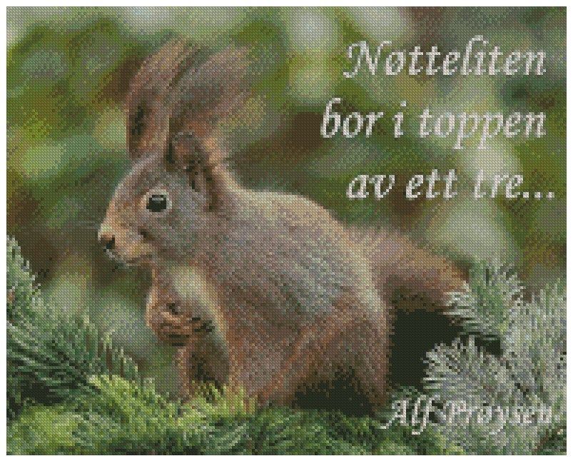 Nøtteliten ©Perlebilder