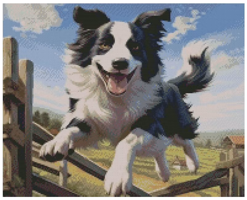 Border Collie  ©MerelyCreated4you