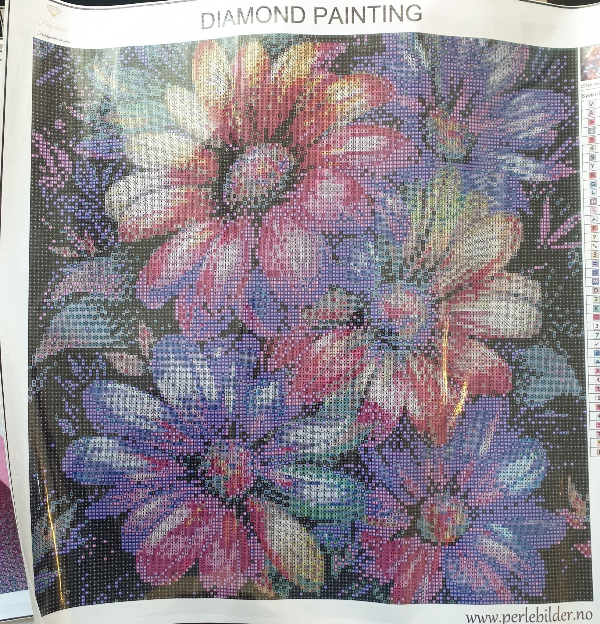 Blomster i regnbuens farger med krystallperler © Digitalpng4u