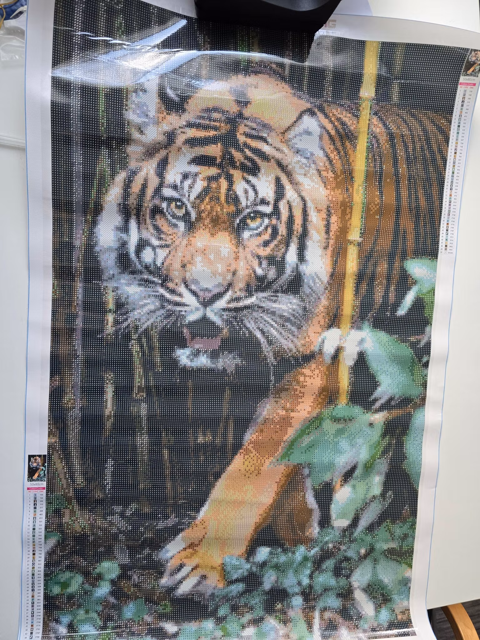 Tiger blant bambus , spesial bilde