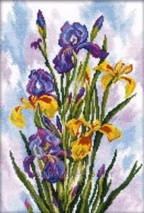 Broderi kit korssting bilde, iris i vannfargerr 24x35 cm