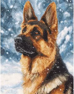 Knyteteppe sjefer 52x38 cm