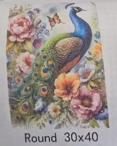 Påfugl 30x40