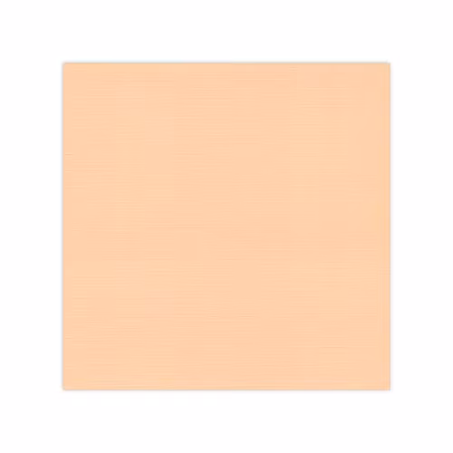 583009 Cardstock Linnestruktur lax