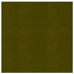 583055 Cardstock A4 Pine Green