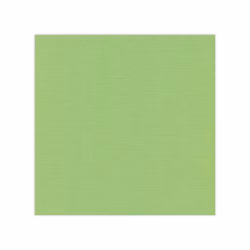583021 Cardstock  Vår grön