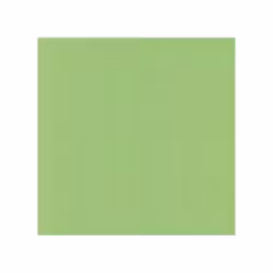 583021 Cardstock  Vår grön