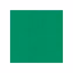 583022 Cardstock A4 Grön