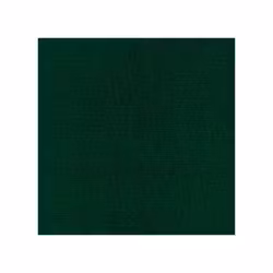 583023 Cardstock A4  Christmas green