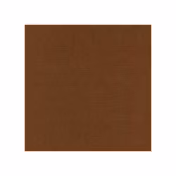 583033 Cardstock Chokladbrun