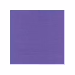 583018 Cardstock A4 Violett