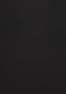 558738 Papper Matter Black Truffle