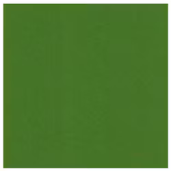 583060 Cardstock A4  Fern Green