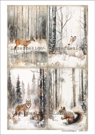 LDKL-1587 Klippark Vinter-Jul