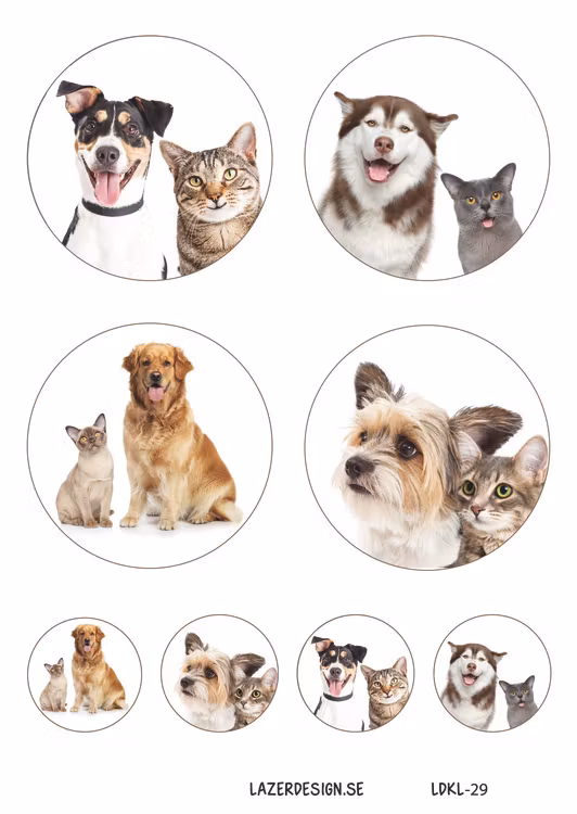 LDKL-29 klippark A4  Hundar