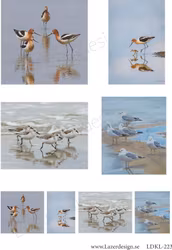 LDKL-223 Klippark  Vadare