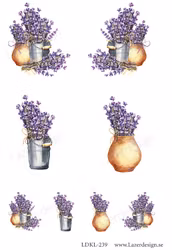 LDKL-239 Klippark Lavendel i kruka