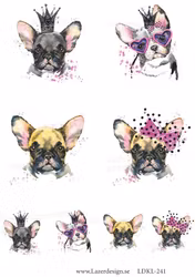 LDKL-241 Klippark  Frallor Fransk Bulldog