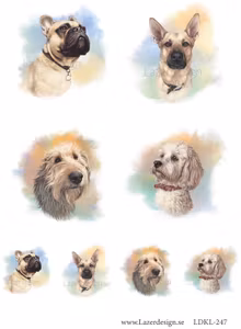 LDKL-247 Klippark  Hundar