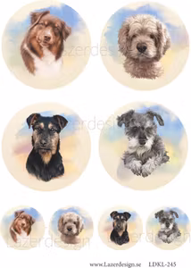 LDKL-245 Klippark  Hundar