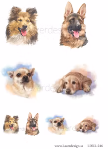 LDKL-246 Klippark  Hundar