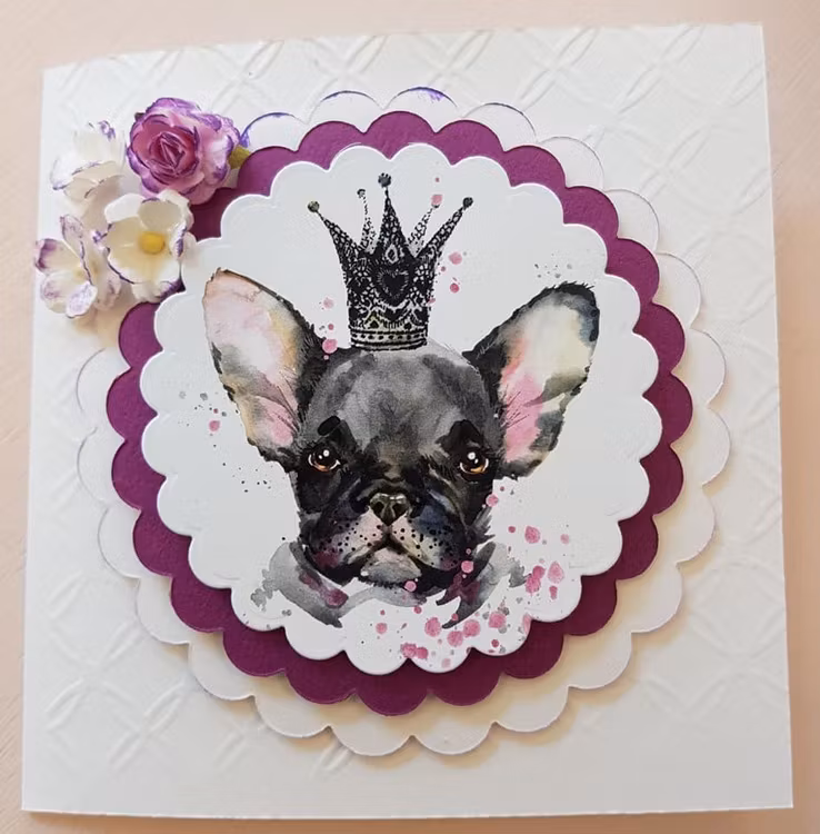 LDKL-241 Klippark  Frallor Fransk Bulldog