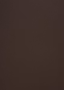 558729 Papper Skinn Mocha