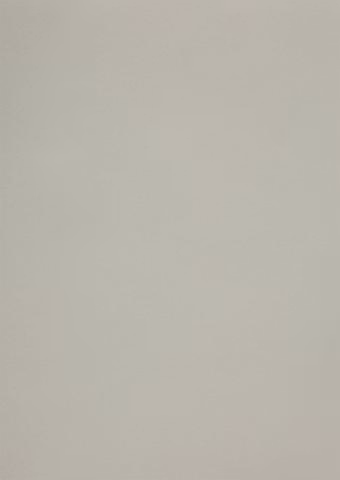 558728 Papper Skinn Grå