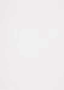 558725 Papper Skinn Extra Vit