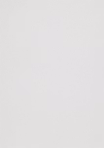 558719 Papper metallic white Silver