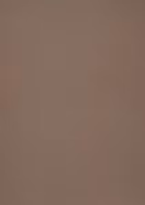 558702- Papper metallic Chestnut